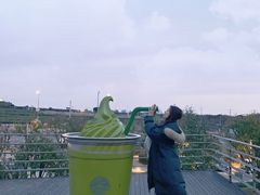 -雪绿茶博物馆