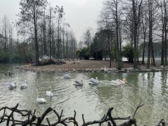 -上海野生动物园