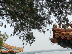-颐和园