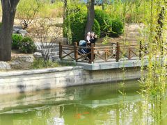 -迎泽公园