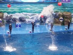 -多彩贵州城极地海洋世界