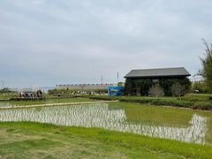 -禾悦庄餐厅