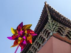-北陵公园
