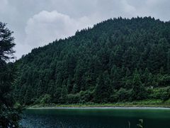 -武陵山森林公园