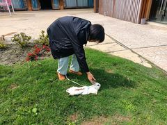 -洪湖家庭农场·团建·露营·会议