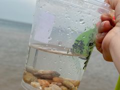 -威海国际海水浴场旅游区