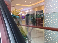 -高新·活力城Village