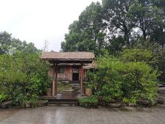 -南山植物园