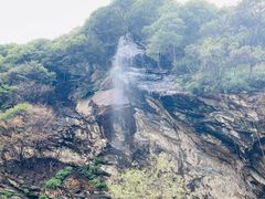 -少华山国家森林公园
