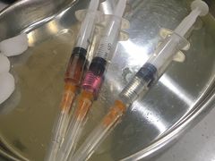 -瑞鹏宠物医院·爱宠堂·骨外专科(西荷分院)