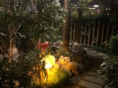 -张家港金凤凰度假村温泉