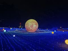 -广西壮族自治区药用植物园