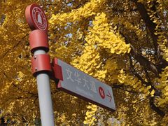 -四川大学(望江校区)