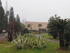 -自贡恐龙博物馆