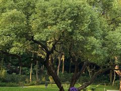 -云溪植物园