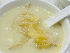 鸡煲中勾翅-凤城礼记鱼翅海鲜酒家(新马路总店)