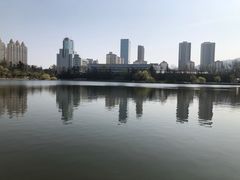 -南山公园