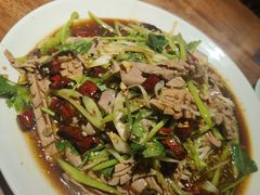 -文记四川鱼馆(小纬北路店)