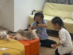 -1013 PET SHOP精品宠物商店(丁香店)