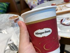 -哈根达斯(武汉天地店)