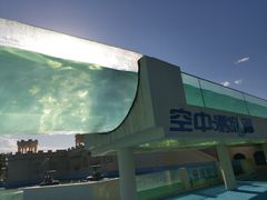 -秦皇岛乐岛海洋王国