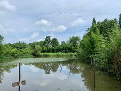 -长田漾湿地公园