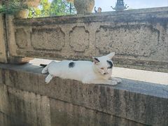 -西园戒幢律寺