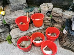 -金海湾海鲜总店