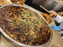 -新概念来凤鱼(璧山店)