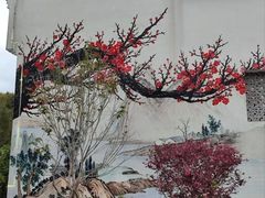 -梅州天地人花园酒店(梅县人民广场店)