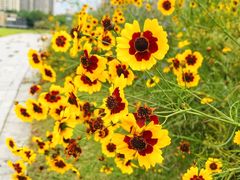 -白塘生态植物园