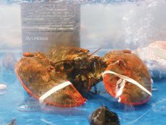 -盒马鲜生(财富中心店)