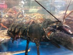 -盒马鲜生(大成店)