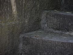 -南山植物园