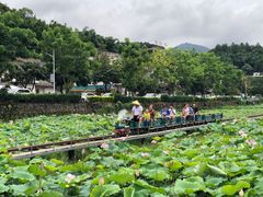-红山村