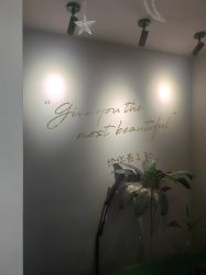 -爱维丽