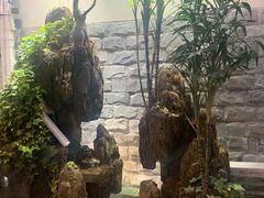 -丽江庭院之丽江往事(安定门店)