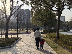 -新江湾城公园