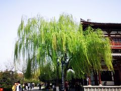 -西安青龙寺遗址景区