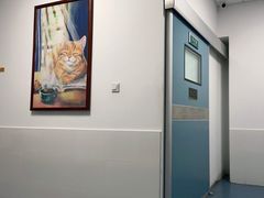 -北京赛佳动物医院