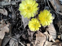 -庆岭迎宾园正宗活鱼馆