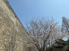 -南京城墙景区