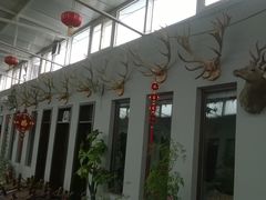 upload_pic-北京鹿世界主题园