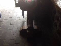 慢丽江庭院休闲餐厅(付家庄店)-慢丽江·云南野生菌土鸡锅(付家庄店)