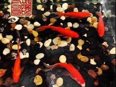 -新澳港式茶餐厅(余姚路店)