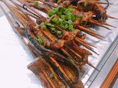鳝鱼-晓靖轩烧烤(沙河风情店)