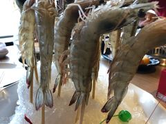 -尚海豆捞(乐虹坊店)