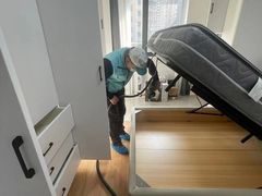 -Liteclear日本进口强效除甲醛检测治理(旗舰店)