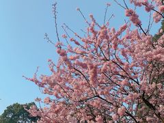 -南山植物园