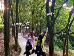 -火炉山森林公园